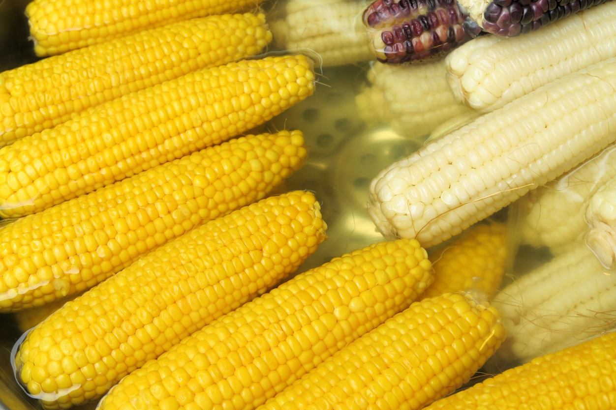 냉동 vs 생식품 영양 차이 관련 이미지 (옥수수)