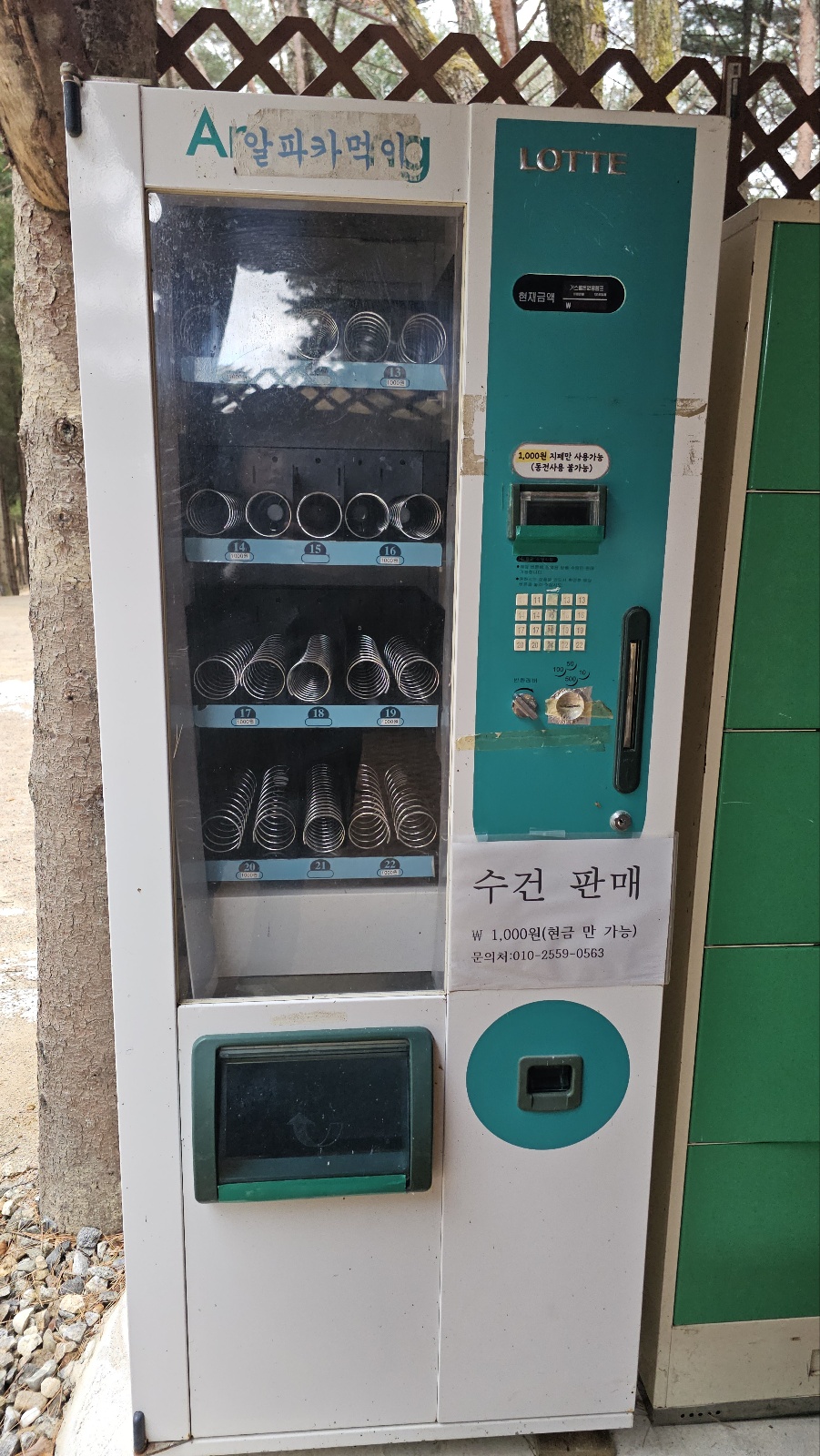 [24.11월] 아이와 평창 #1 - 모나 용평리조트 애니포레🏔️