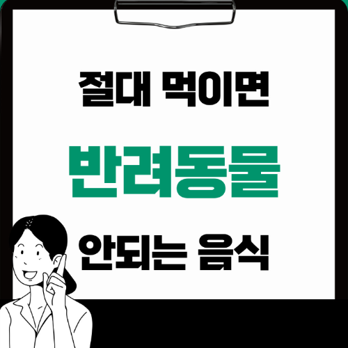 반려동물 절대 먹이면 안되는 음식 TOP 10