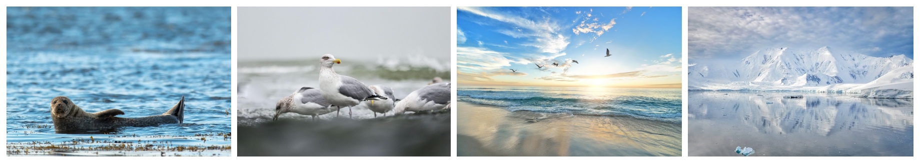 수산대전 제철 수산물