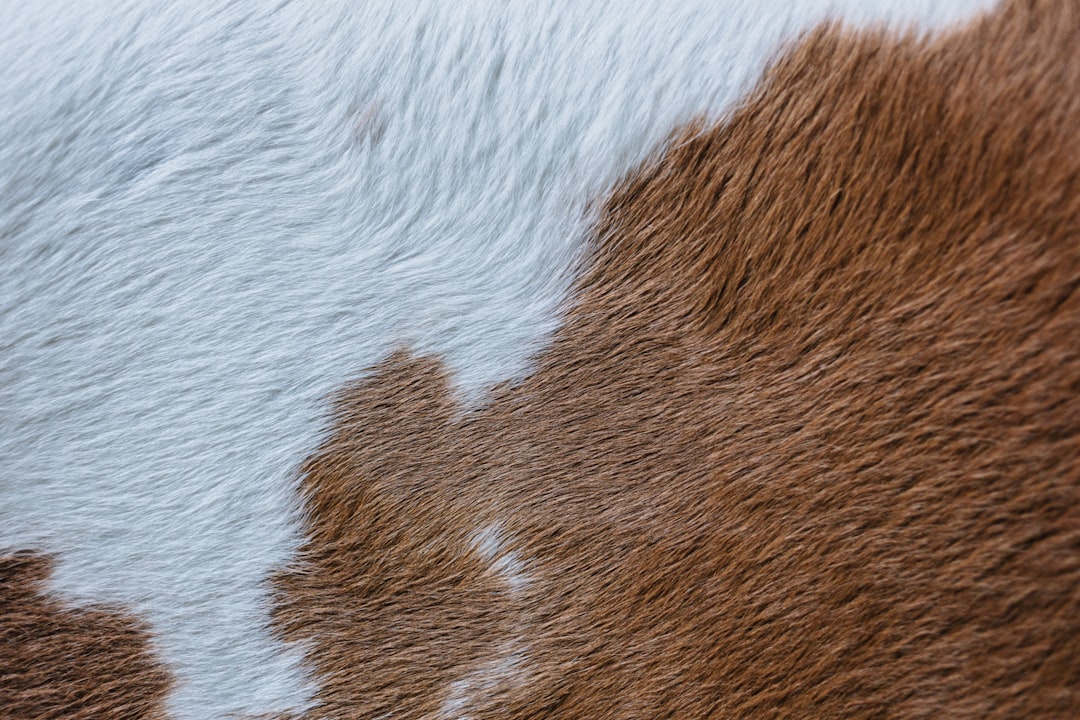 Fur.