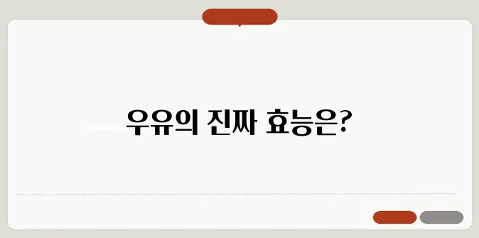 우유효능은? 건강지킴이 우유! 무조건 좋기만 할까? 효능과 부작용!