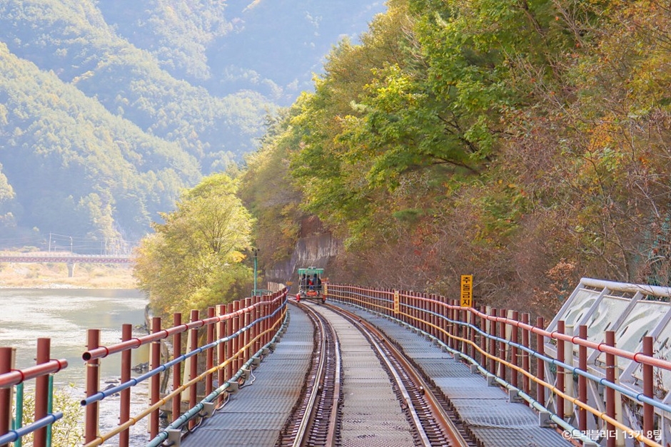 정선 레일바이크