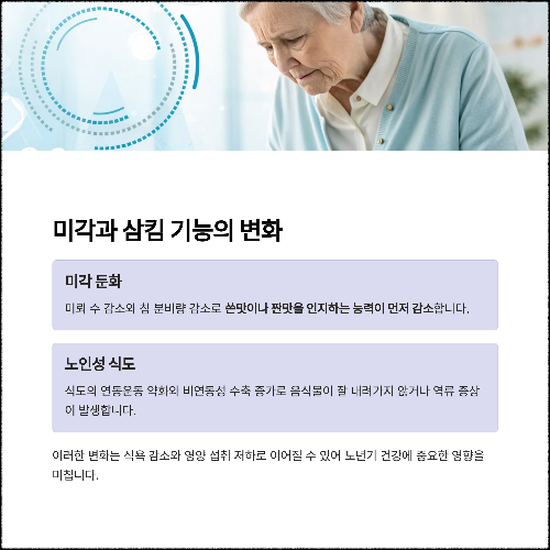 미각 기능의 변화: 미뢰 감소와 감각 둔화