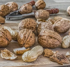 호두 효능과 부작용 하루섭취량 먹는방법 고르는법