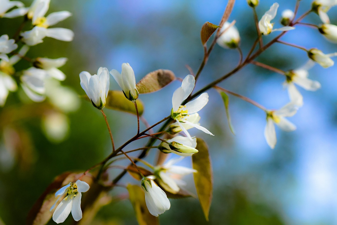 봄,건강관리 관련사진