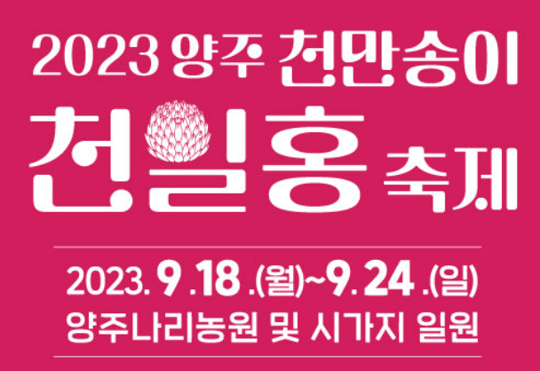 양주 천만송이 천일홍 축제