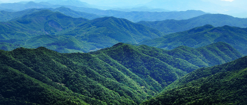칠갑산 자연휴양림