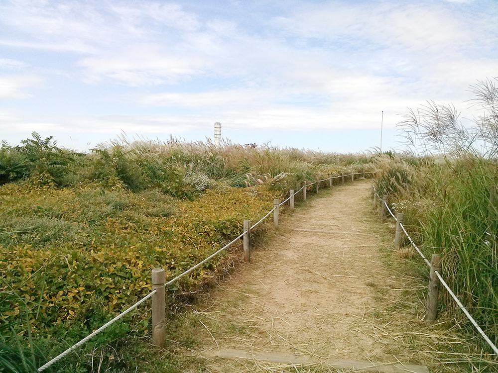 노을공원에서 하늘공원까지 