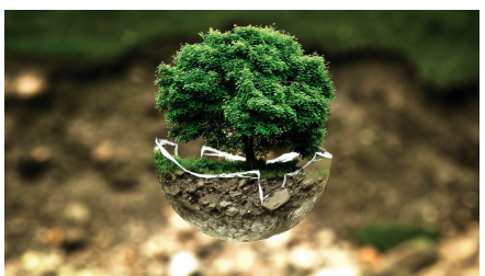 탄소중립포인트