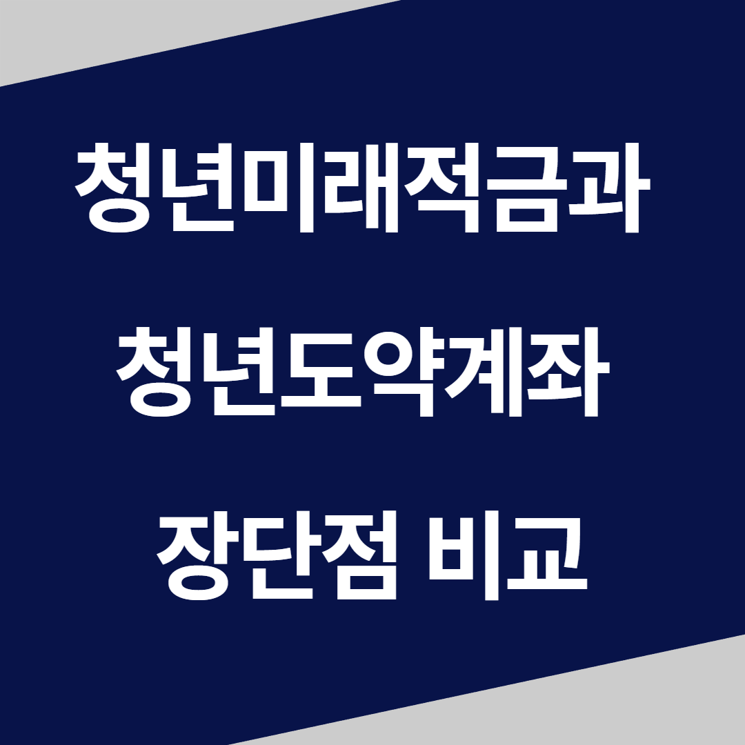 청년미래적금과 청년도약계좌 비교
