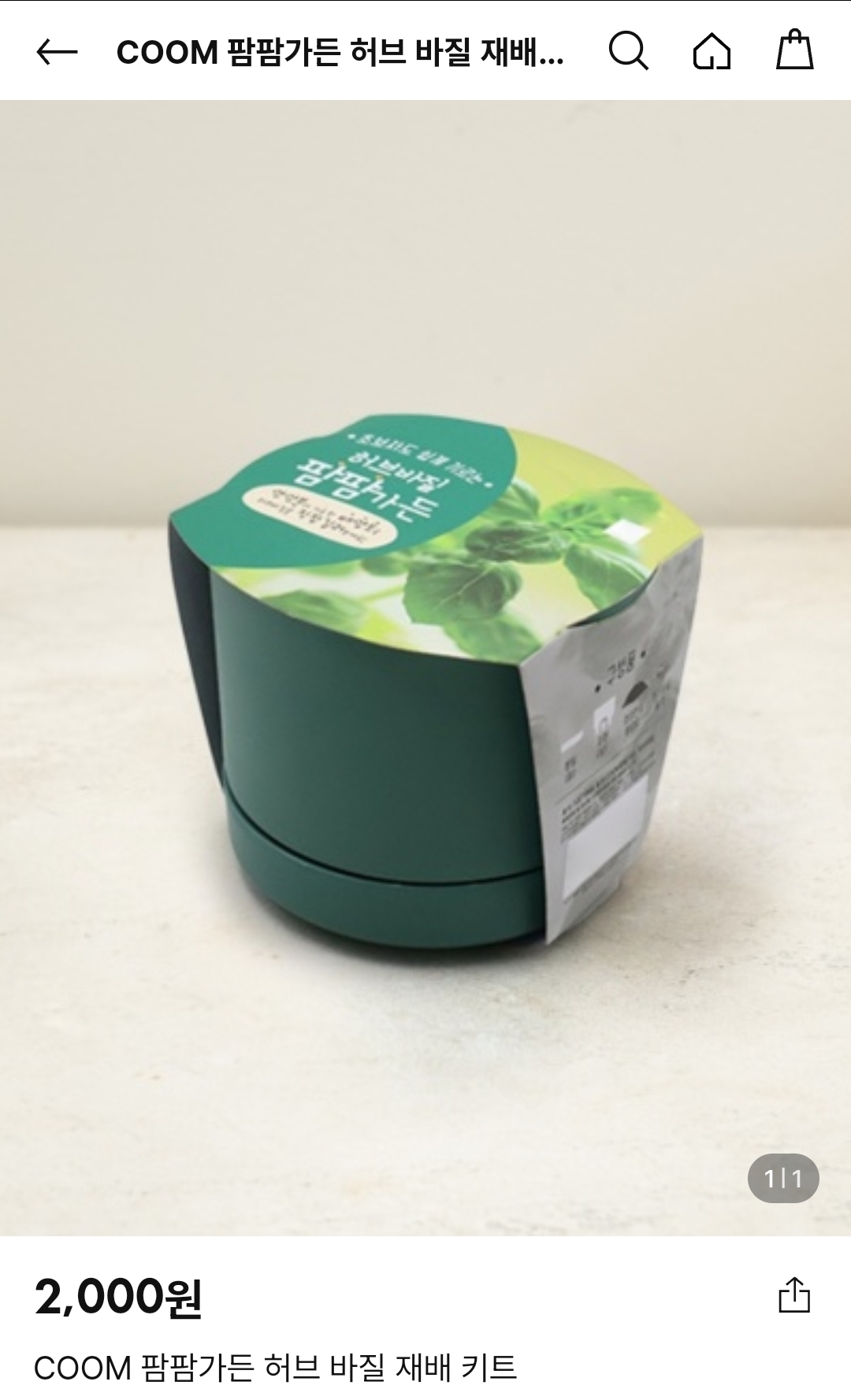 다이소 바질 키트