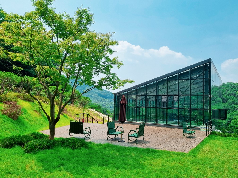 경기도 시흥 산골수목원: 연분홍 수국이 있는 식물원 카페