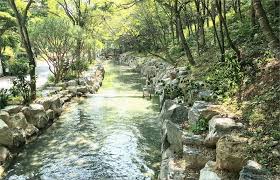 자연생태복원기사 시험일정 응시자격 합격률