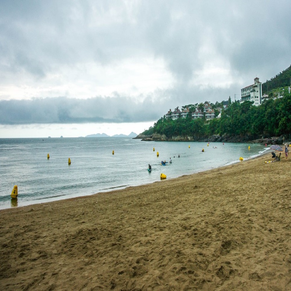 모항갯벌 해수욕장 바로가기