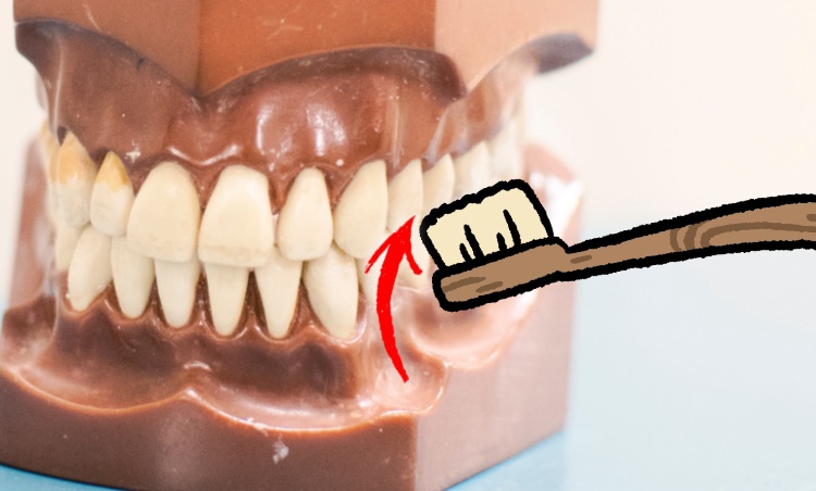 올바른 양치질 칫솔질 방법