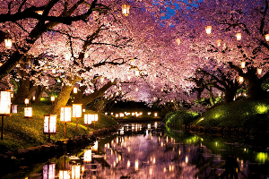 일본 현지 축제 즐기기 가이드 시즌별 필수 축제 리스트