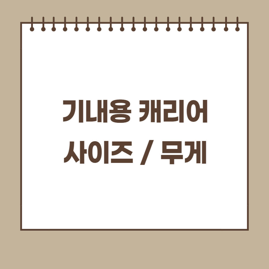 기내용캐리어
기내용캐리어사이즈