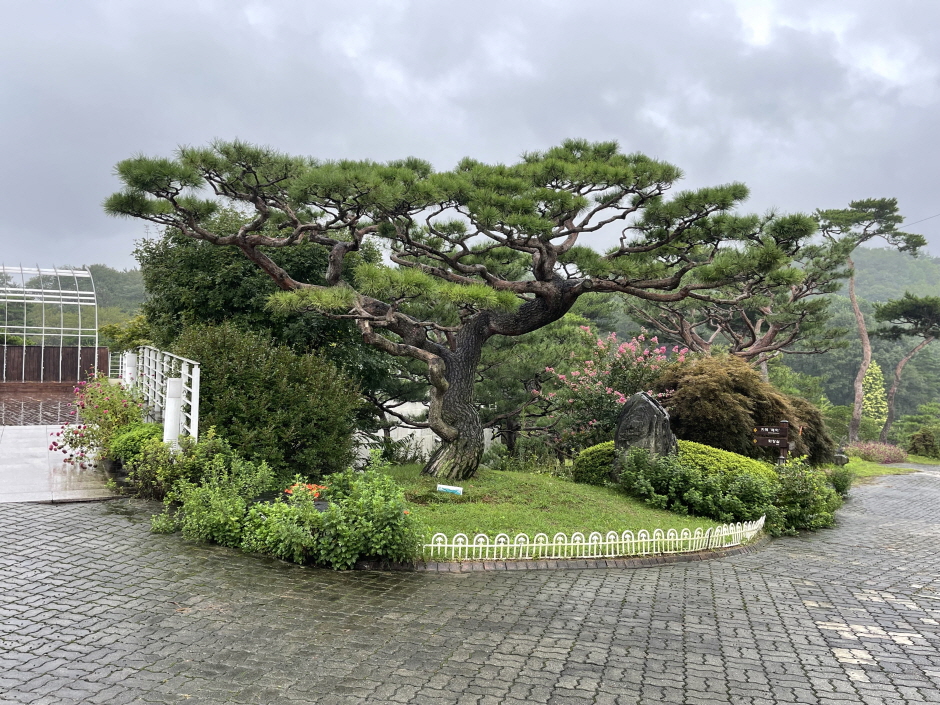 홍성 가볼만한곳 베스트10