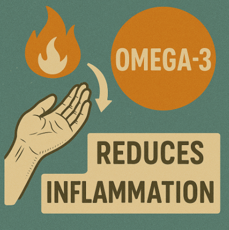 오메가3가 염증 조절에 도움을 준다는 것을 표현