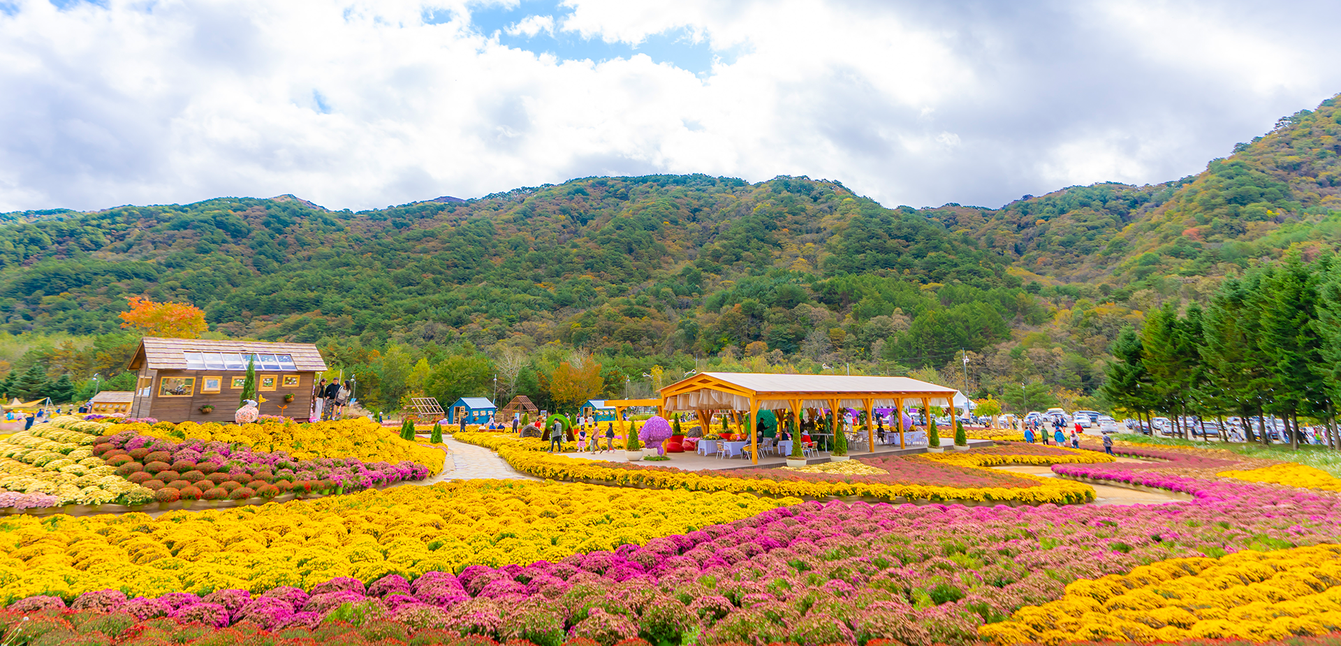 인제가을꽃축제 살펴보기 8