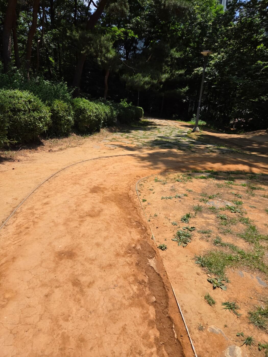 황토 맨발 걷기의 건강 효과의 모든것