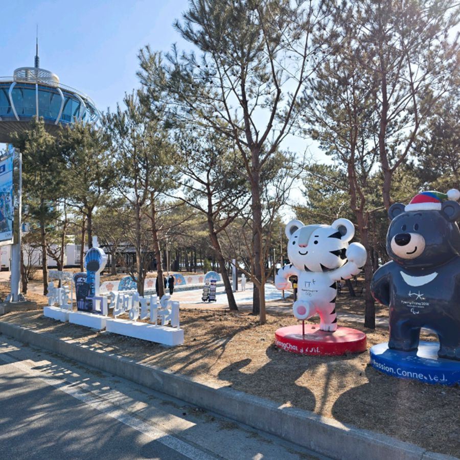 송지호관망타워