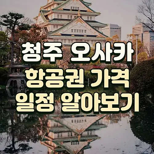 청주-오사카-항공권-에어로케이-티웨이항공-가격-스케줄-수하물