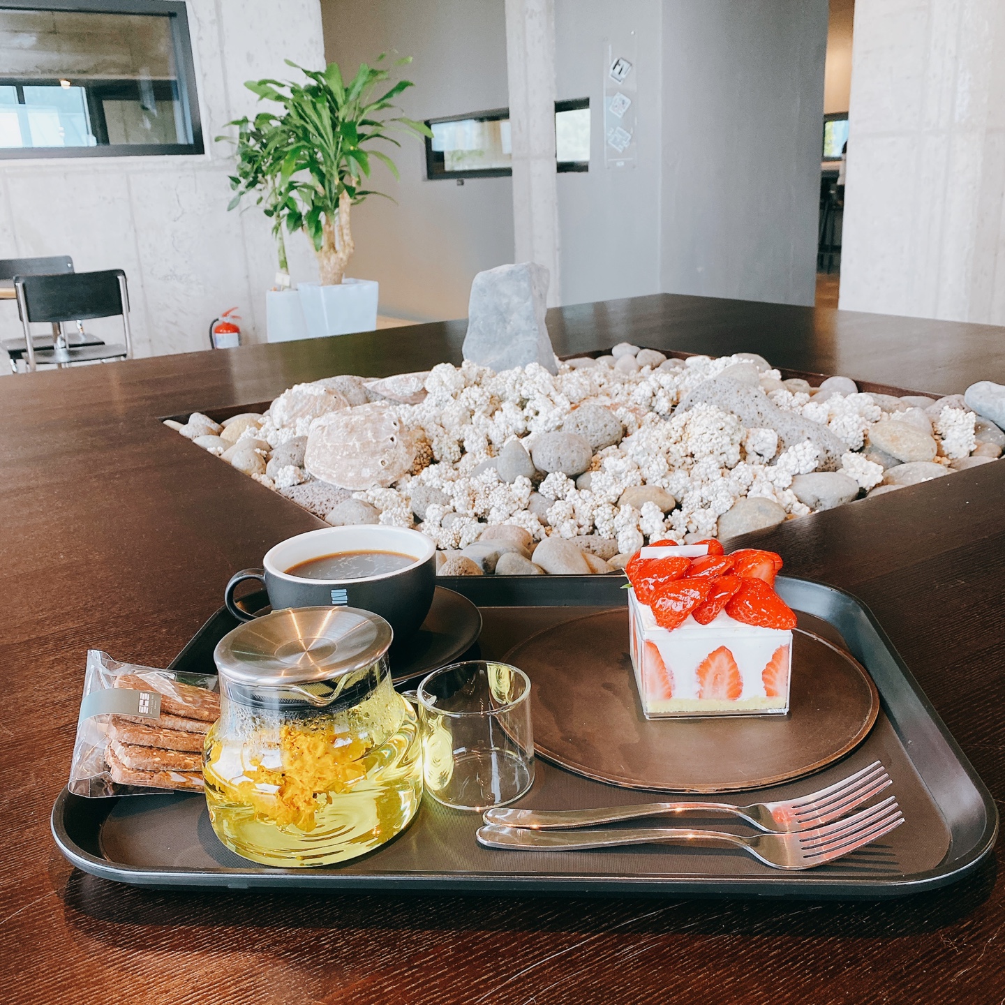 제주 신비마을 도깨비도로 벚꽃명소 레크레 카페