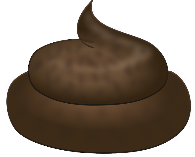 로또꿈 해몽, 당첨자 베스트 모음