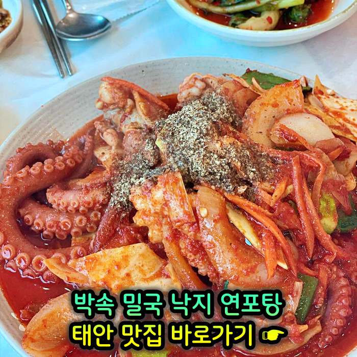 생방송 투데이 충남 태안 낙지 한상 박속밀국낙지탕 맛집