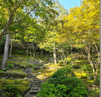 화담숲 예약 (ft. 할인 정보)