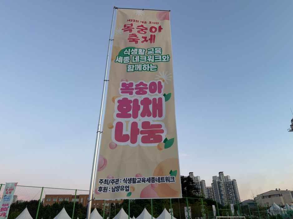 세종 조치원 복숭아 축제