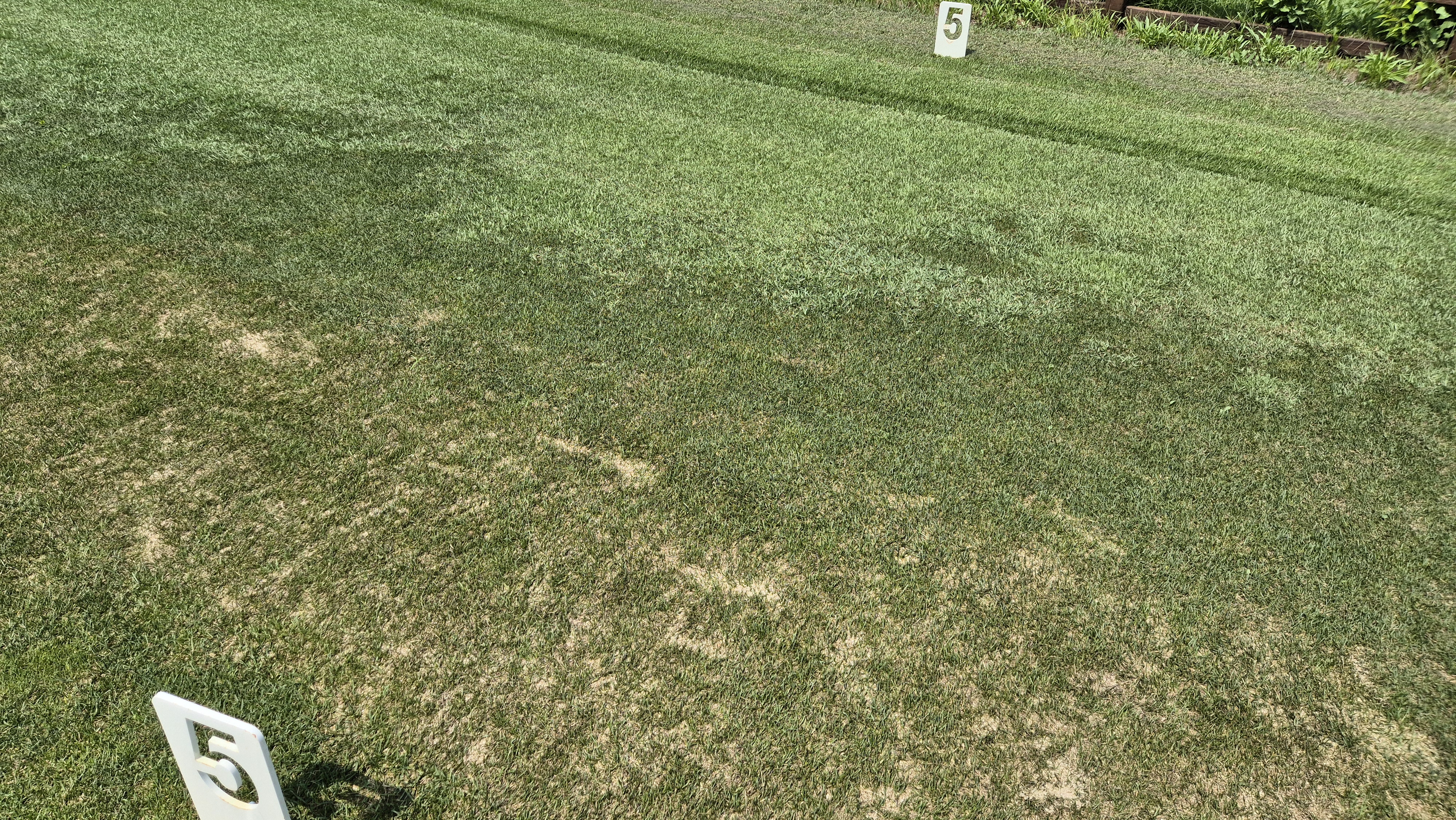 골프존카운티 안성H