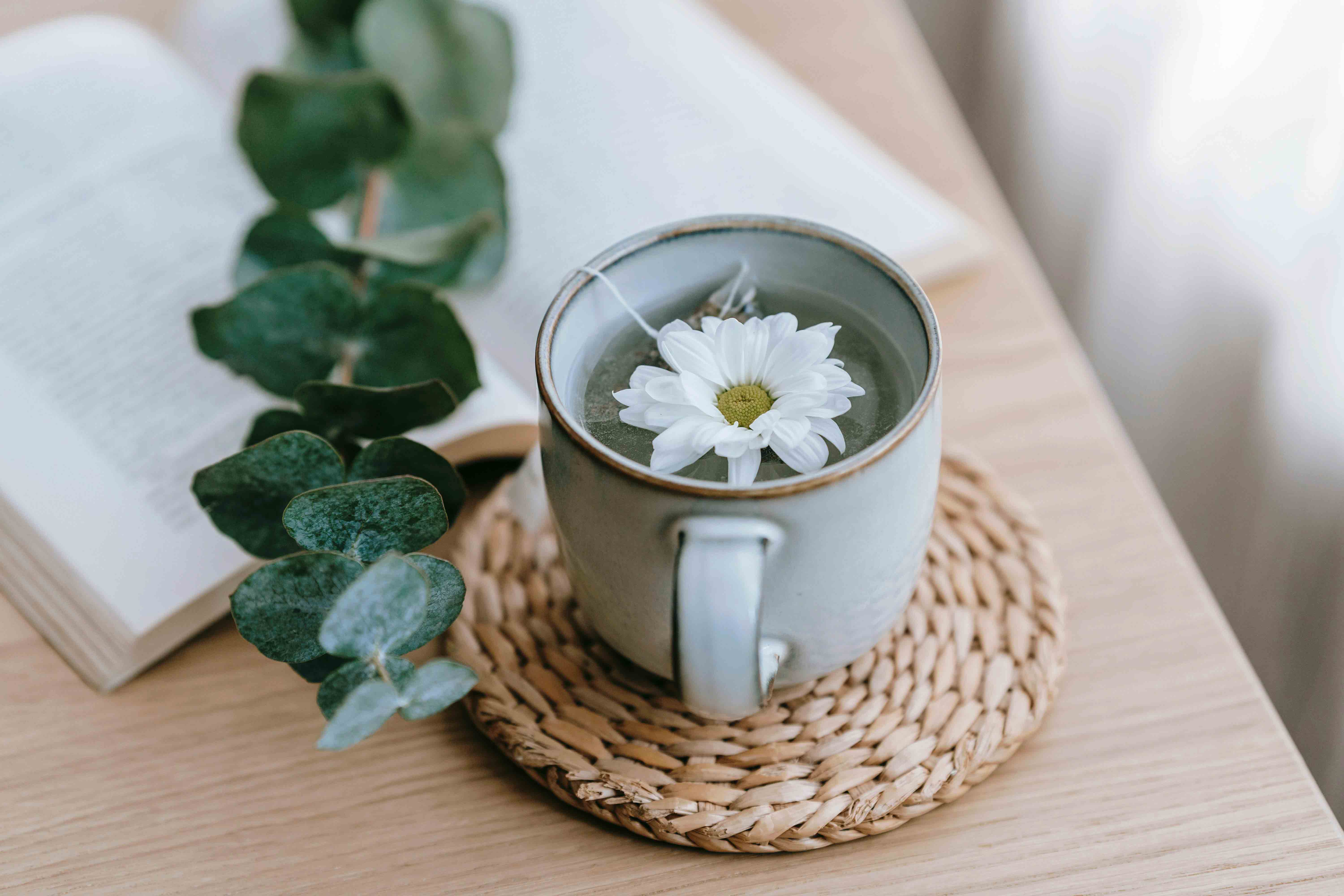 천식에 좋은 차 염증 개선 증상 완화