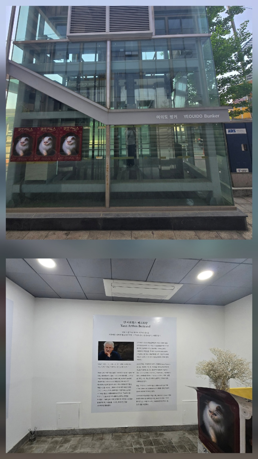 여의도 벙커 미술관