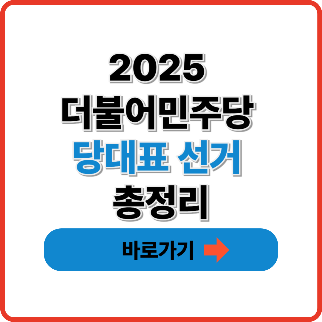 2025 더불어민주당 당대표 선거 총정리