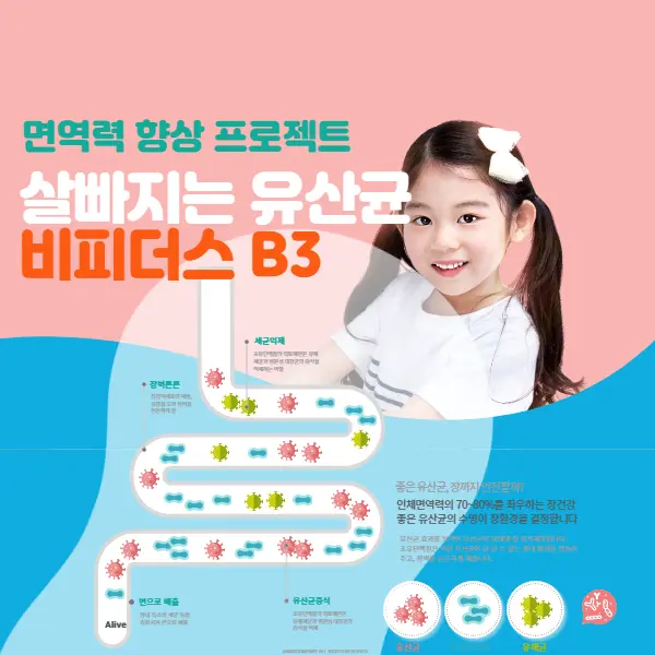 비피더스 B3