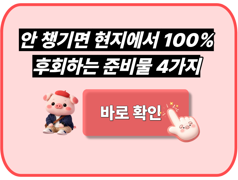 안 챙기면 현지에서 100% 후회하는 준비물&nbsp;4가지