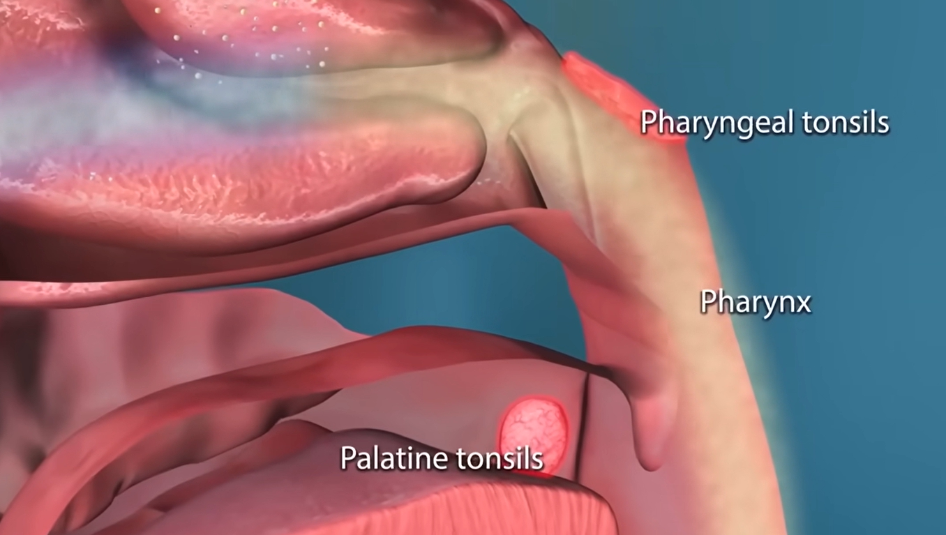 콧물이 계속 나는 이유