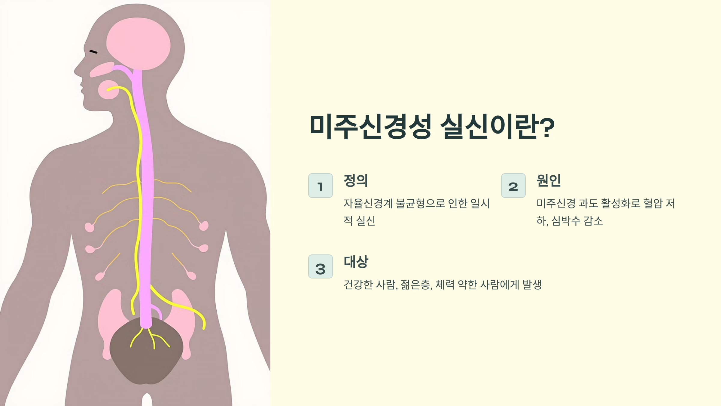미주신경성 실신이란? 전조증상