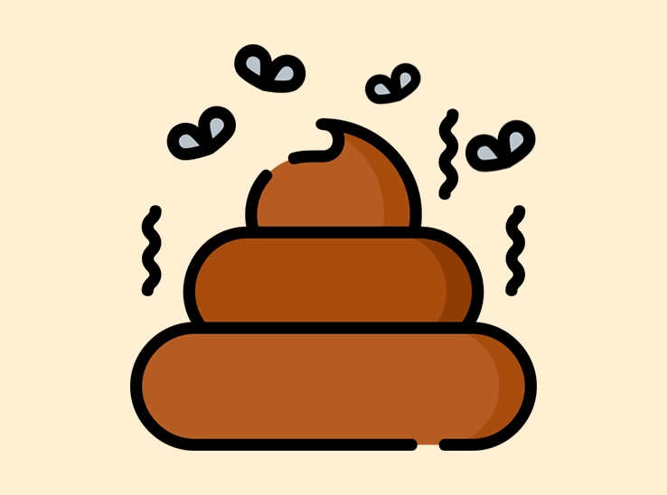 대변 색깔 별 원인