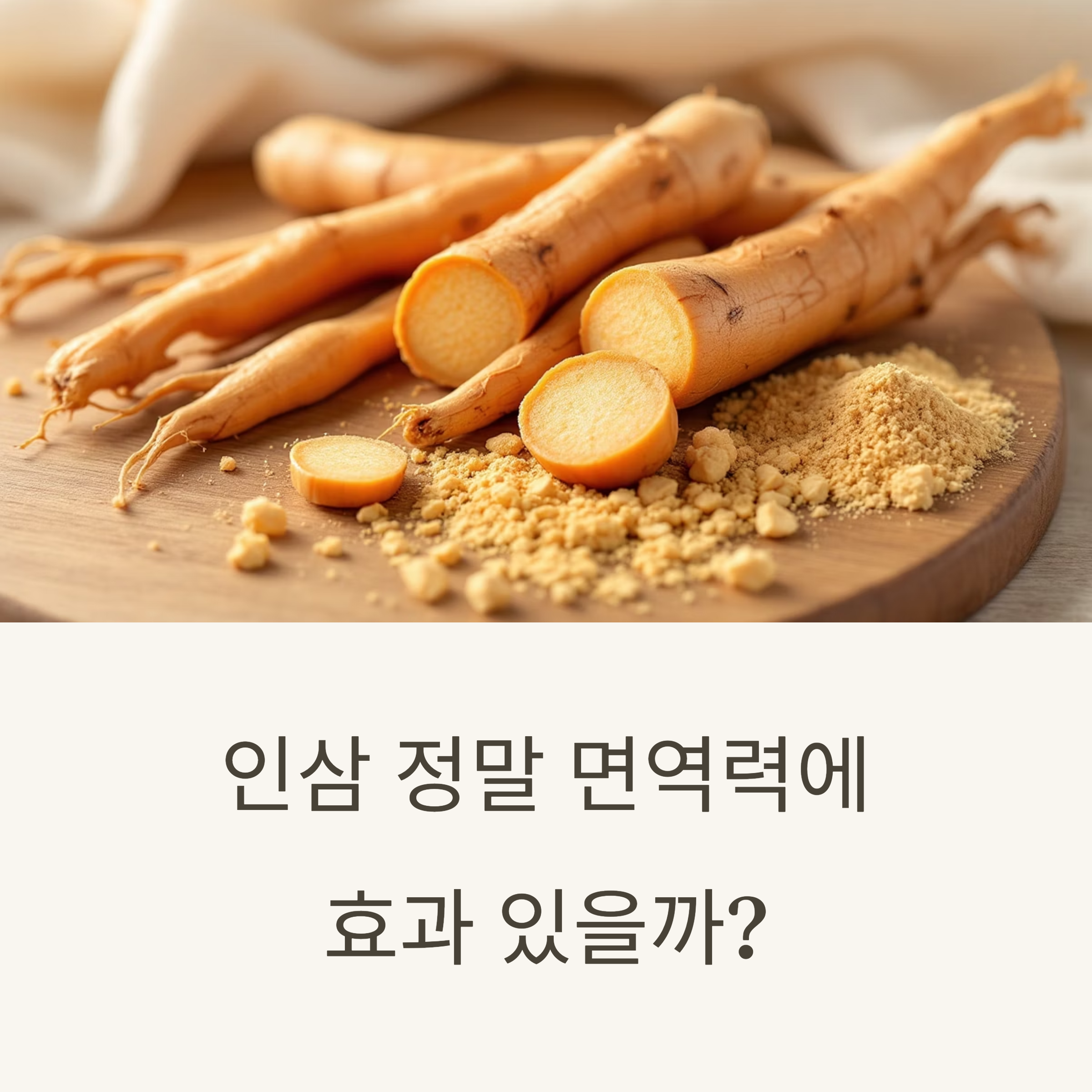 인삼 정말 면역력에 효과 있을까?