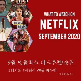 넷플릭스 순위 미드 추천 알아보기 드라마_17