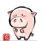 오늘의 용띠 운세 25년 5월 9일