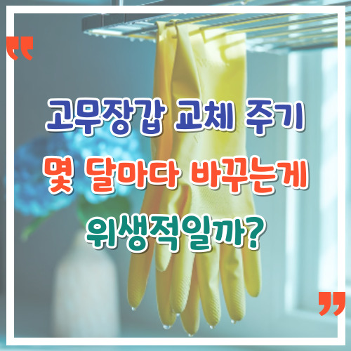 고무장갑-교체-주기-몇-달마다-바꾸는게-위생적일까
