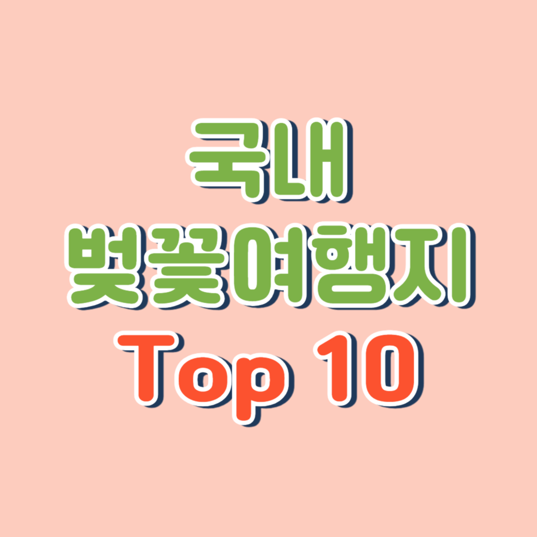 벚꽃 여행지