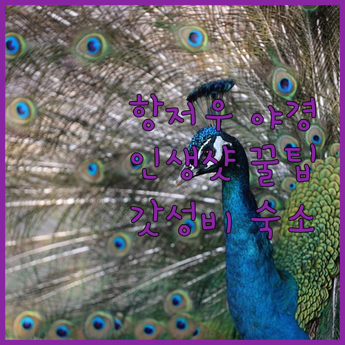 항저우 야경 투어 인생 사진 촬영 팁..