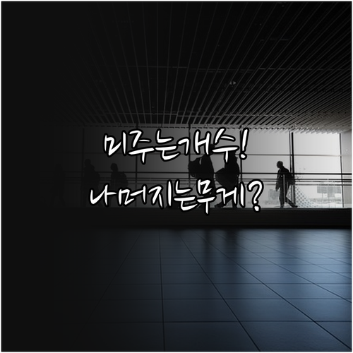 카타르항공 노선별 위탁수하물, 미주는..