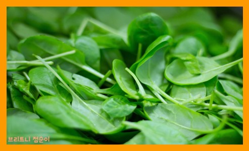 눈건강에 좋은 음식과 눈건강에 좋은 차